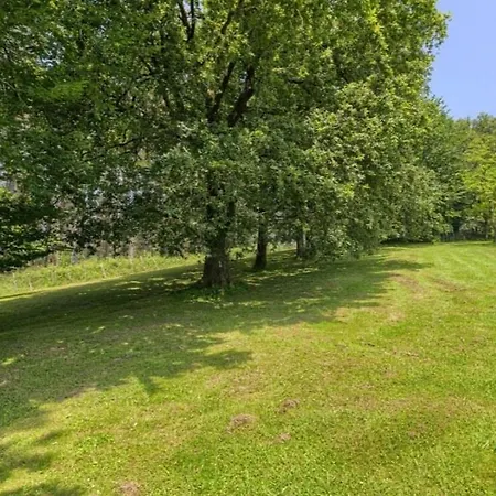 8 Personas En Arratia Y Gorbea Villa Igorre