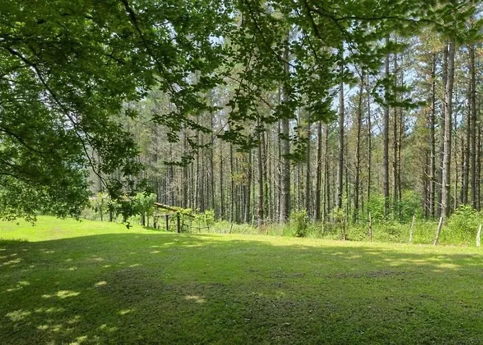 8 Personas En Arratia Y Gorbea Villa *