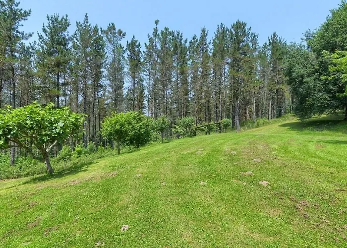 8 Personas En Arratia Y Gorbea Igorre
