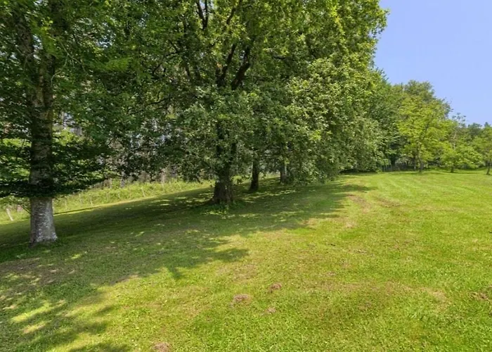 8 Personas En Arratia Y Gorbea Villa Igorre